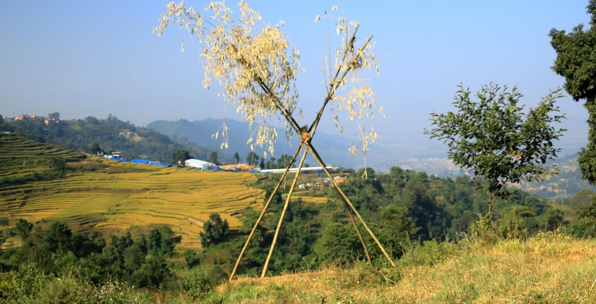 Dashain Festival in Nepal