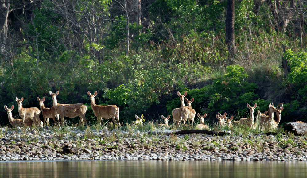 National parks in nepal