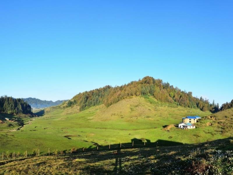 Badimalika Trek in Nepal